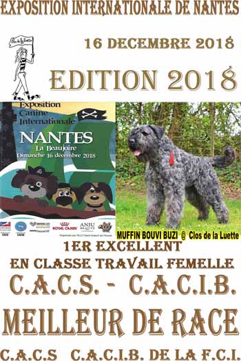 MUFFIN NANTES 2018 CACS CACIB